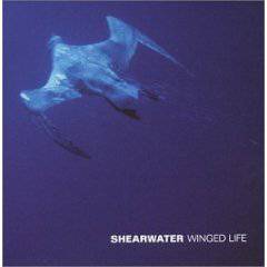 Shearwater : Winged Life